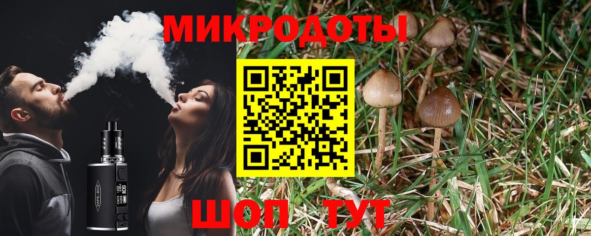 Псилоцибиновые грибы GOLDEN TEACHER Котовск