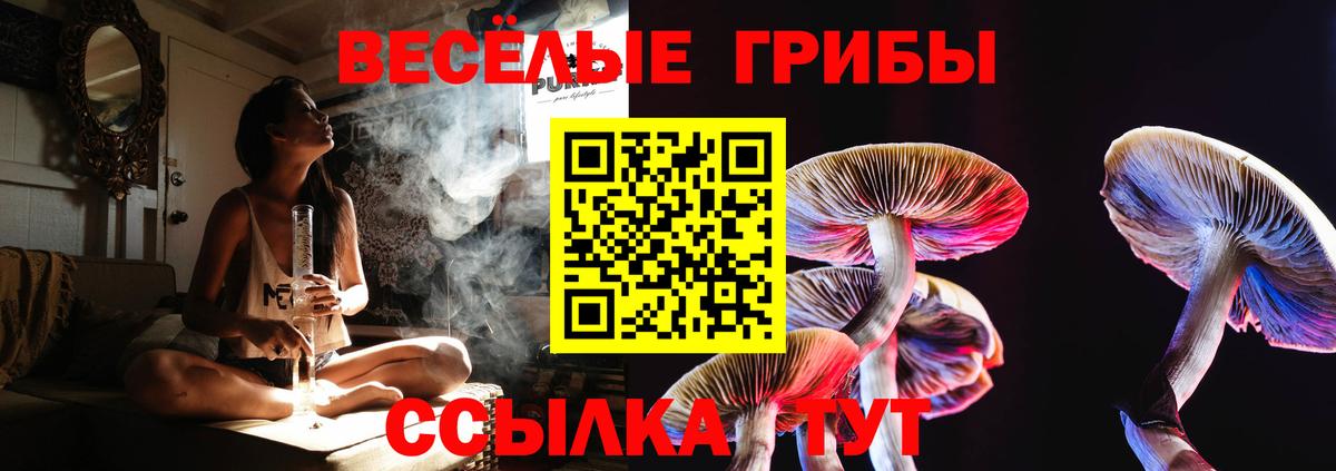 Котовск  Галлюциногенные грибы прущие грибы  Вход с VPN 